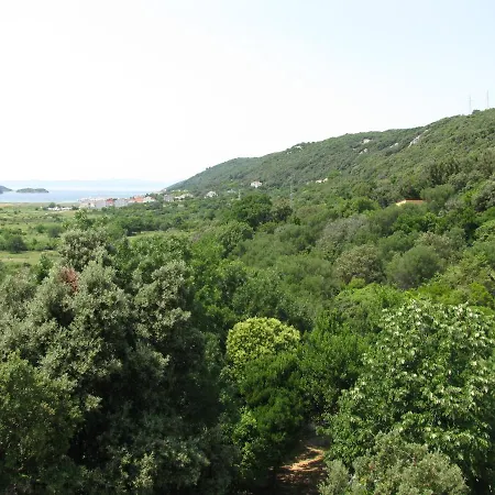 Basek * Supetarska Draga