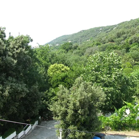 Apartment Basek