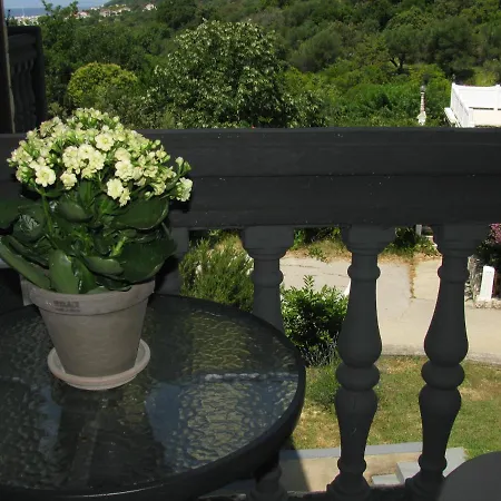 Basek Супетарска-Драга