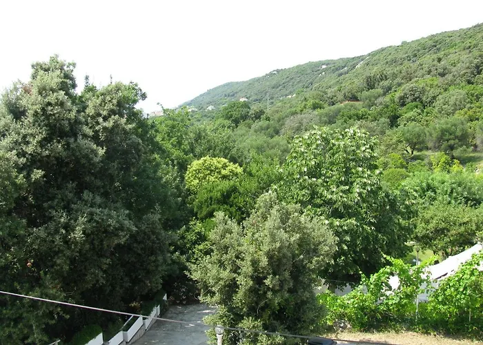 Apartman Basek
